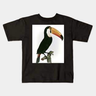 Toco toucan from Histoire Naturelle des Oiseaux de Paradis et Des Rolliers Kids T-Shirt